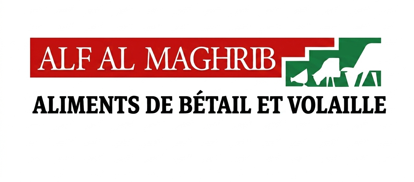 Alf Al Maghrib